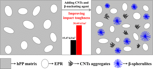 Toughness Reinforcement in Carbon Nanotube-Filled High Impact Polypropylene Copolymer with β‑Nucleating Agent.