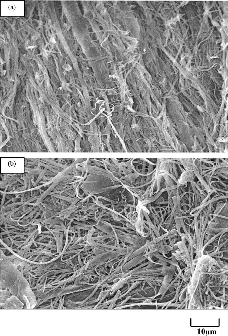 Effects of compatibilization on the essential work of fracture parameters of in situ microfiber reinforced poly(ethylene terephtahalate)/polyethylene blend
