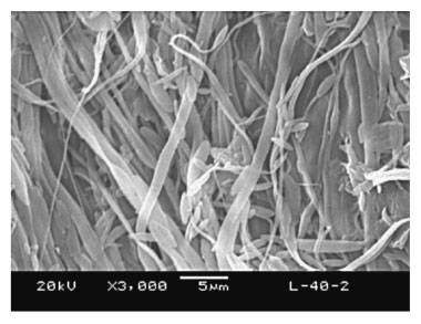 Essential work of fracture parameters of in-situ microfibrillar poly(ethylene terephthalate)/polyethylene blend: Influences of blend composition.