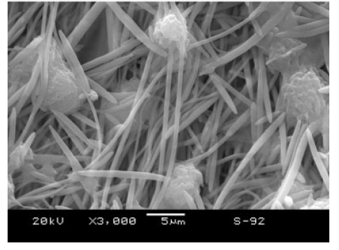 Morphology and nonisothermal crystallization of in situ microfibrillar poly(ethylene terephthalate)/polypropylene blend fabricated through slit-extrusion, hot-stretch quenching. 