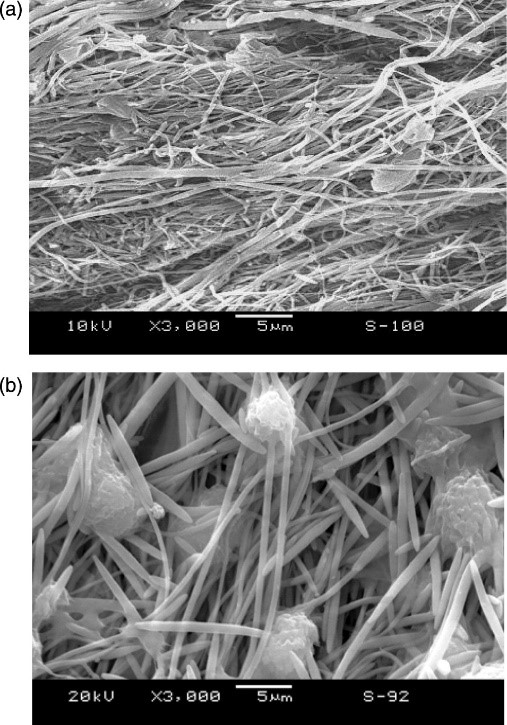 In‐Situ Microfibrillar PET/iPP Blend via a Slit Die Extrusion, Hot Stretching and Quenching Process: Influences of PET Concentration on Morphology and Crystallization of iPP at a Fixed Hot Stretching Ratio