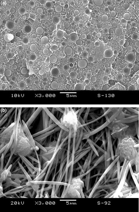 In situ poly (ethylene terephthalate) microfibers-and shear-induced non-isothermal crystallization of isotactic polypropylene by on-line small angle X-ray scattering