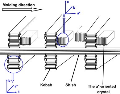 Crystalline morphology of isotactic polypropylene (iPP) in injection molded poly(ethylene terephthalate) (PET)/iPP microfibrillar blends.