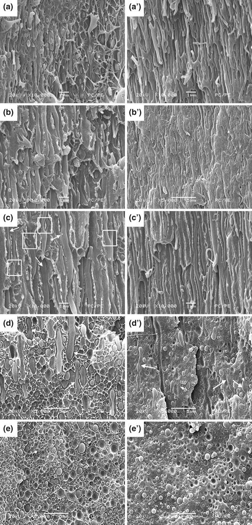 The role of gas penetration on morphological formation of polycarbonate/polyethylene blend molded by gas-assisted injection molding.