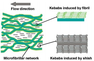 Suppression of skin-core structure in injection-molded polymer parts by in situ incorporation of a microfibrillar network