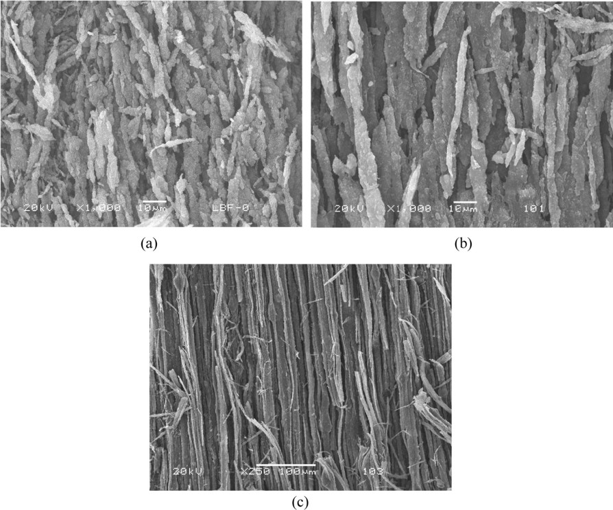 Electrically conductive carbon black/poly(ethylene terephthalate)/polyethylene microfibrillar composite: The influence of CaCO3 nanoparticles