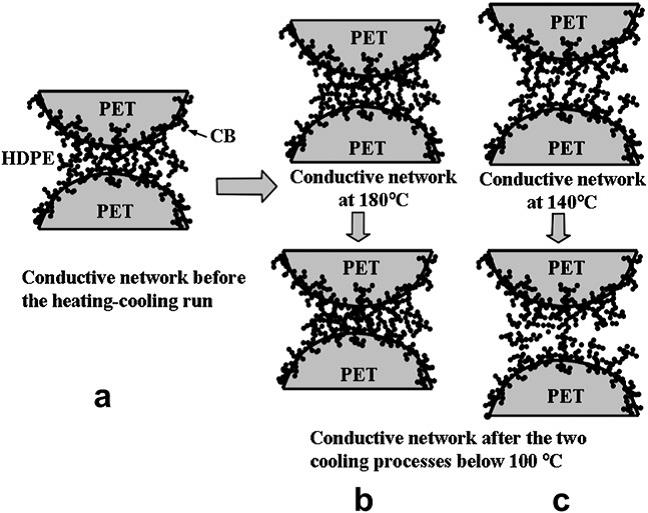 Electrically conductive in situ microfibrillar composite with a selective carbon black distribution: An unusual resistivity-temperature behavior upon cooling