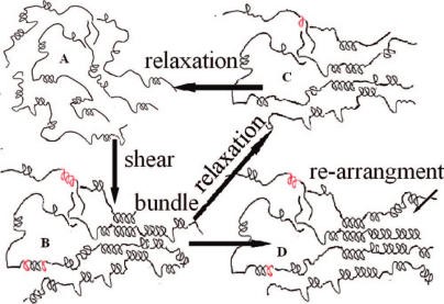 Shear-induced conformational ordering, relaxation, and of isotactic polyproylene