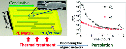 Easy Fabrication and Resistivity-Temperature Behavior of an Anisotropically Conductive Carbon Nanotube-Polymer Composite