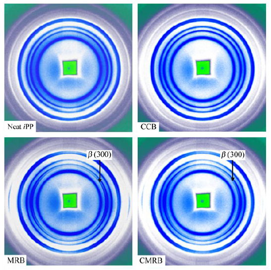 Crystallization behavior and morphology of one-step reaction compatibilized microfibrillar reinforced isotactic polypropylene/poly(ethylene terephthalate) (iPP/PET) blends