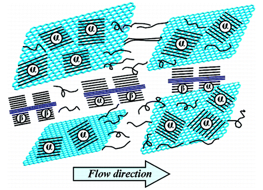 Graphene Nanosheets and Shear Flow Induced Crystallization in Isotactic Polypropylene Nanocomposites