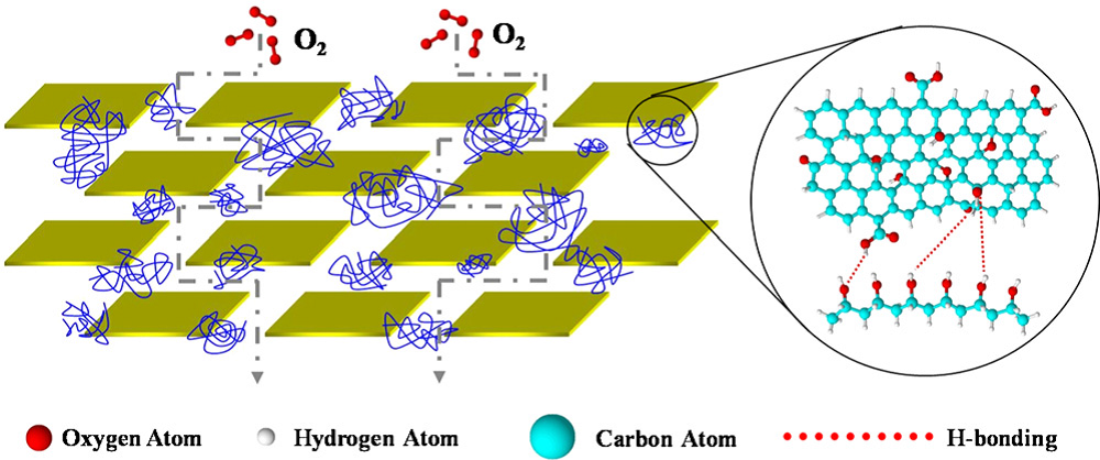 High barrier graphene oxide nanosheet/poly(vinyl alcohol) nanocomposite films