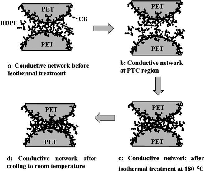 Anomalous attenuation and structural origin of positive temperature coefficient (PTC) effect in a carbon black (CB)/poly(ethylene terephthalate) (PET)/polyethylene (PE) electrically conductive microfibrillar polymer composite with a preferential CB distri