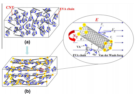 The effect of molecular chain polarity on electric field-induced aligned conductive carbon nanotube network formation in polymer melt