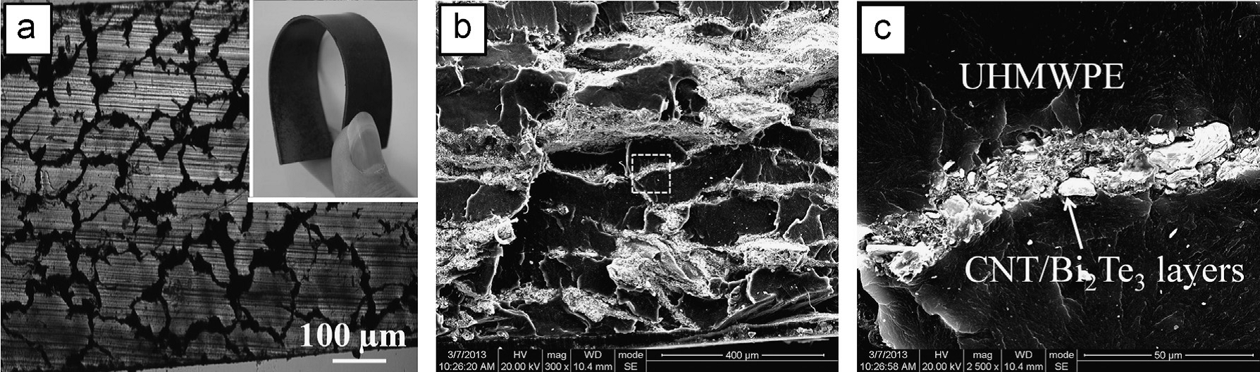 Thermoelectric behaviour of segregated conductive polymer composites with hybrid fillers of carbon nanotube and bismuth telluride