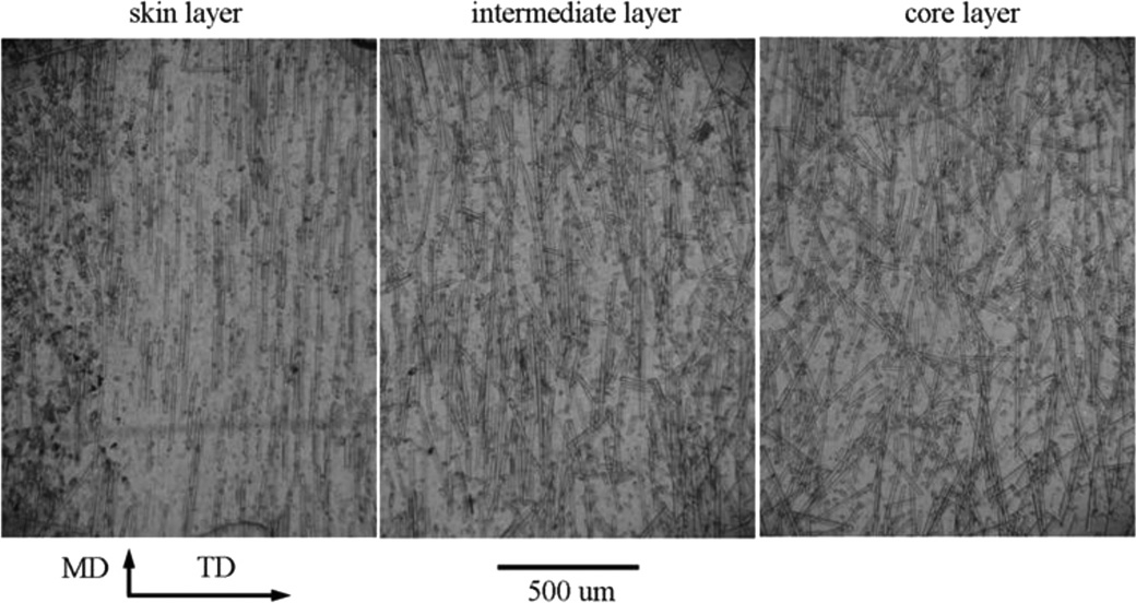 Hierarchic Structure and Mechanical Property of Short Glass Fiber/Isotactic Polypropylene Composites Containing beta-Nucleation Agent