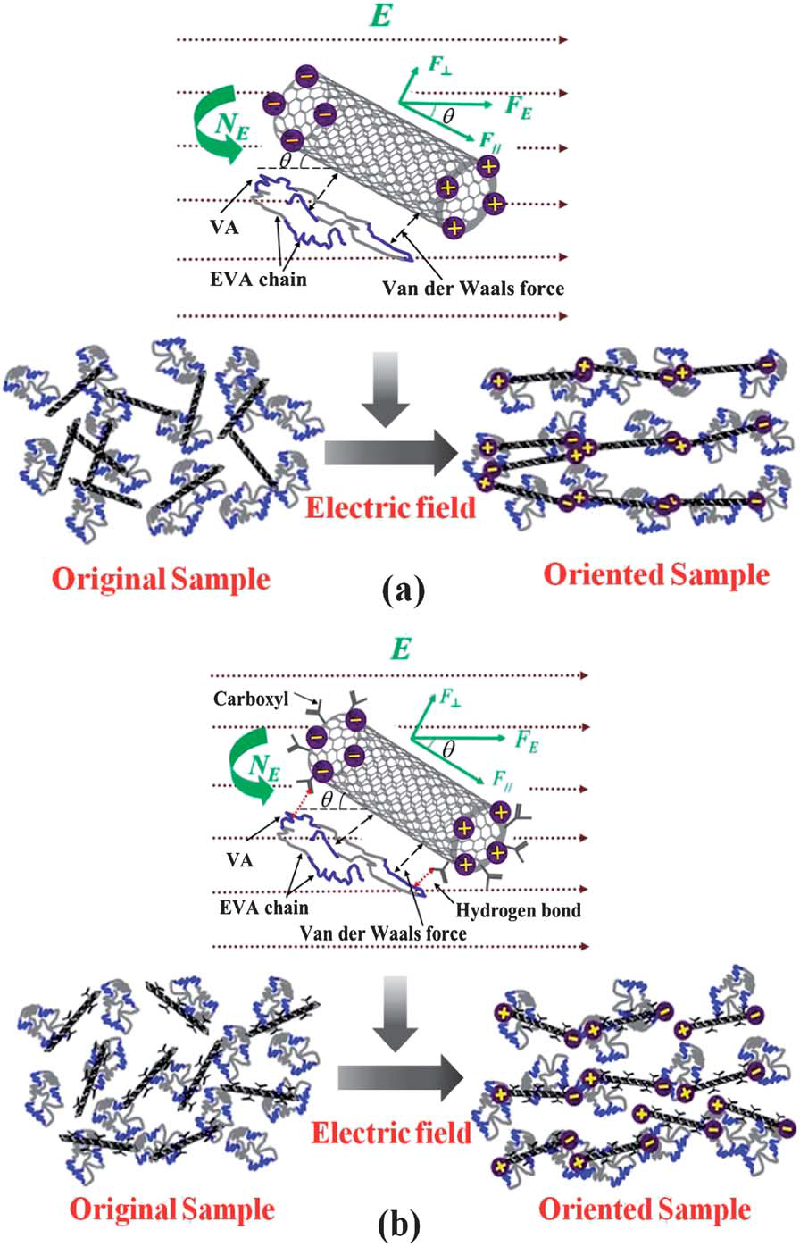 Influence of surface polarity of carbon nanotubes on electric field induced aligned conductive network formation in a polymer melt