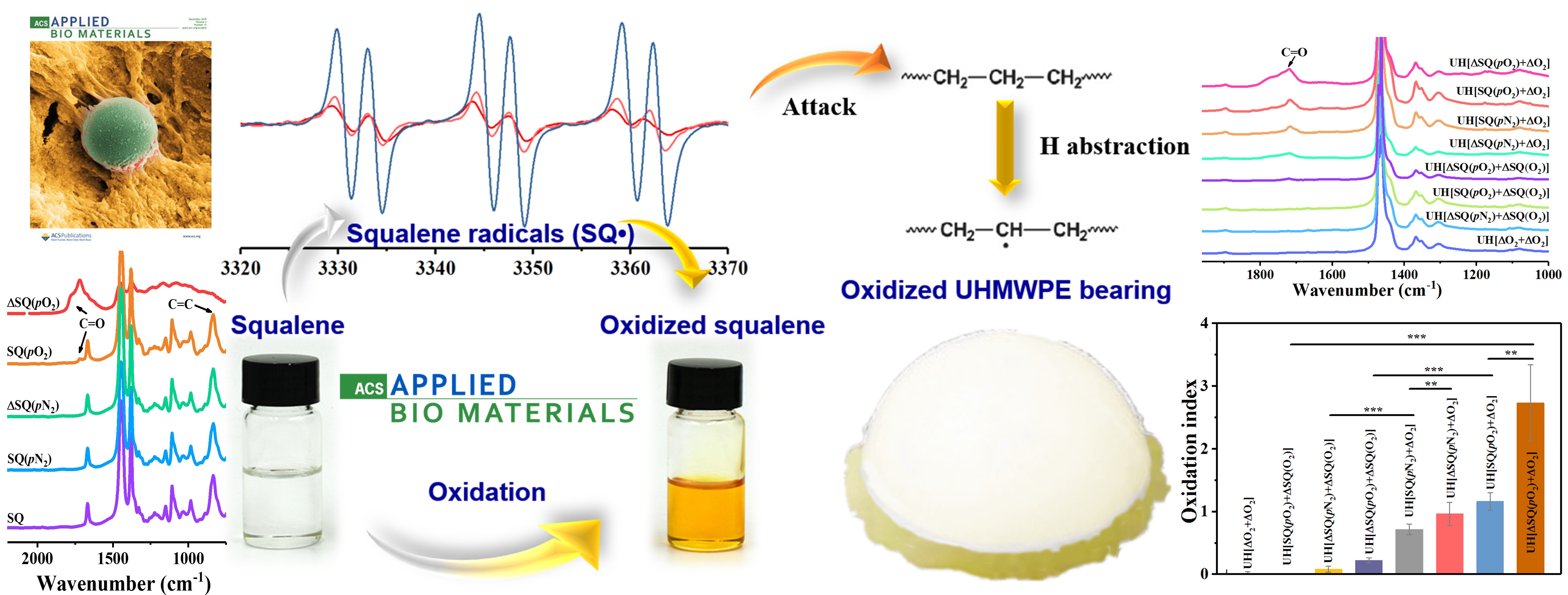  Insights into oxidation of the ultrahigh molecular weight polyethylene artificial joint related to lipid peroxidation. 