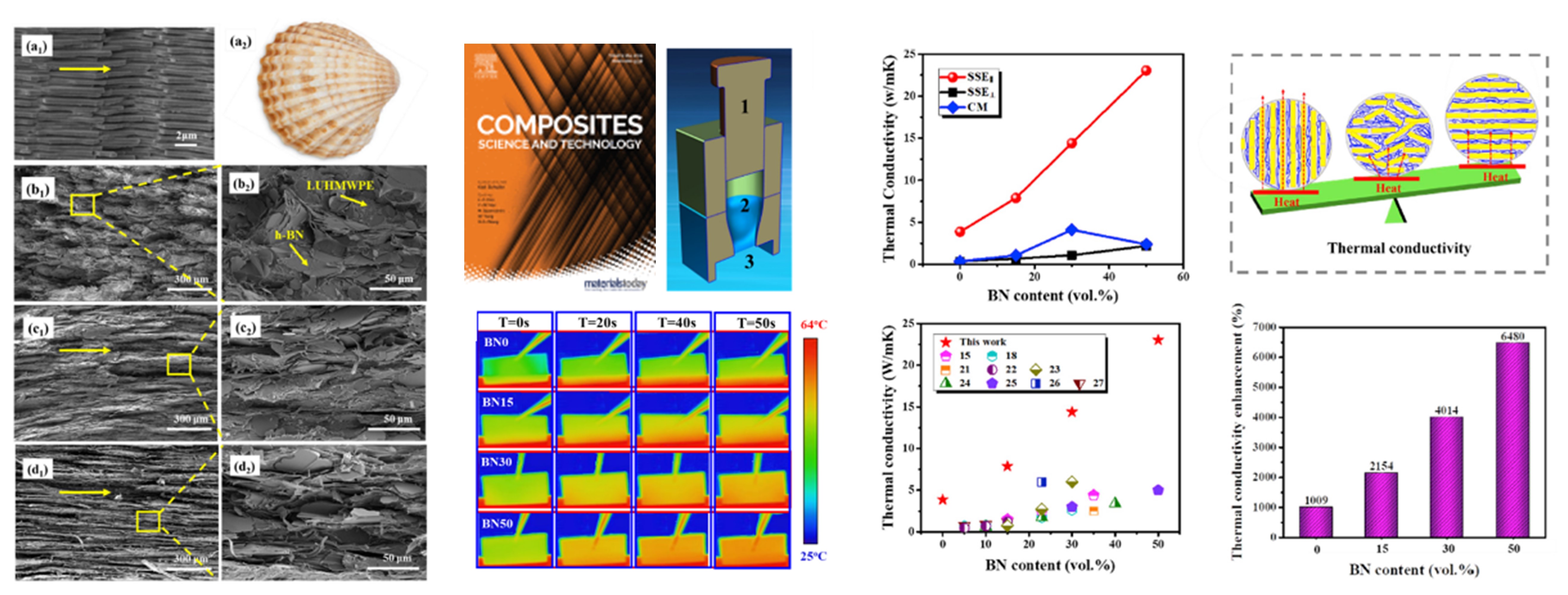 Highly thermally conductive and mechanically robust composite of linear ultrahigh molecular weight polyethylene and boron nitride via constructing nacre-like structure.