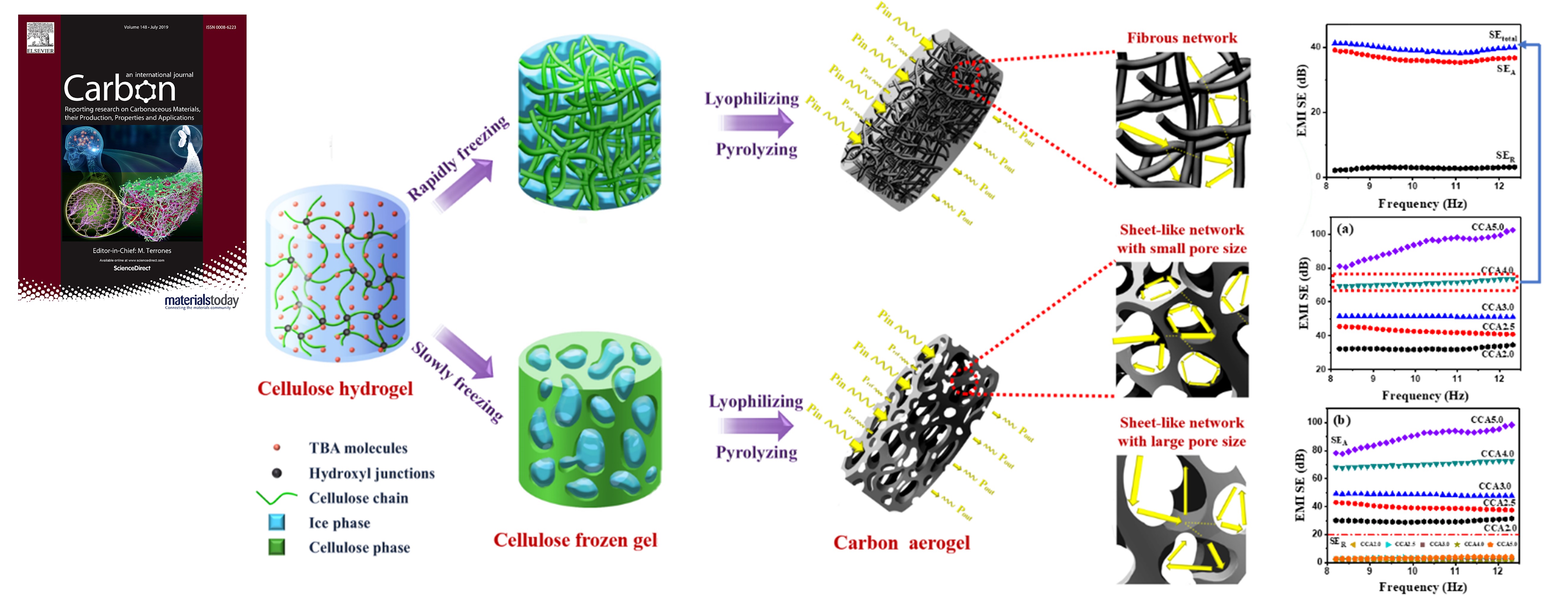 Structuring dense three-dimensional sheet-like skeleton networks in biomass-derived carbon aerogels for efficient electromagnetic interference shielding.