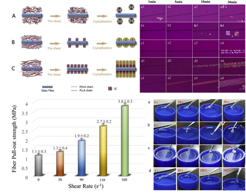 Shear-induced stereocomplex cylindrites in polylactic acid racemic blends: Morphology control and interfacial performance. 