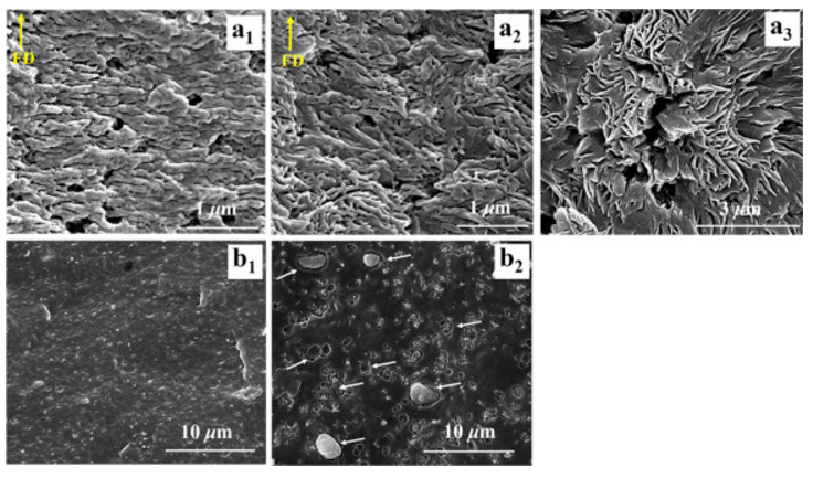 Simultaneous reinforcement and toughening of polymer/hydroxyapatite composites by constructing bone-like structure.