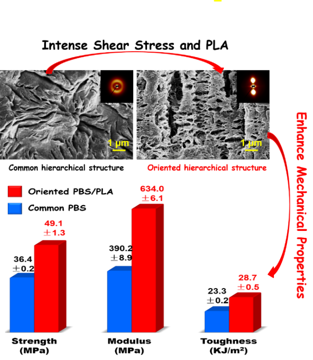 Largely enhanced mechanical performance of poly(butylene succinate) multiple system via shear stress-induced orientation of hierarchical structure. 