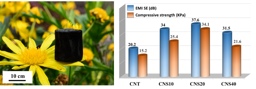 Robust Carbon Nanotube Foam for Efficient Electromagnetic Interference Shielding and Microwave Absorption.