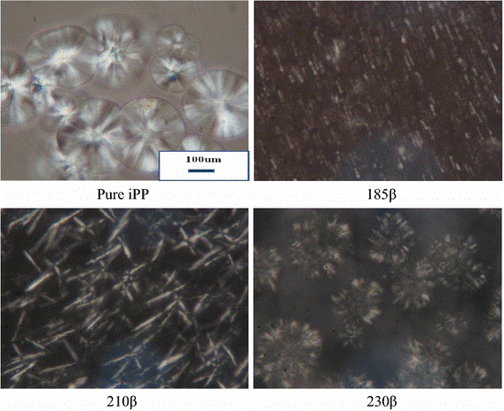 Polypropylene films with high barrier performance via crystal morphology manipulation