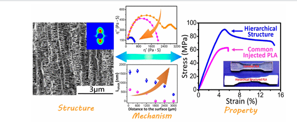 Interfacial Shish-Kebabs Lengthened by Coupling Effect of In Situ Flexible Nanofibrils and Intense Shear Flow: Achieving Hierarchy To Conquer the Conflicts between Strength and Toughness of Polylactide