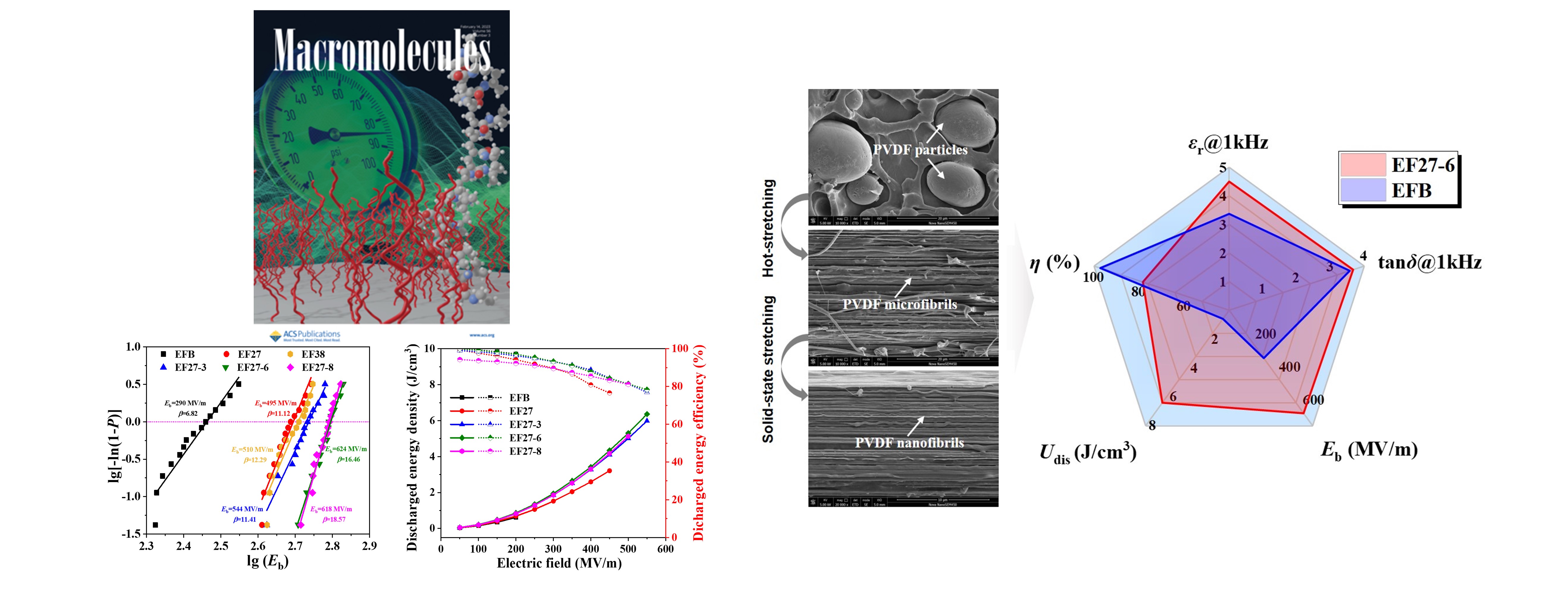Polyvinylidene fluoride nanofibrils based dielectric film paper published in Macromolecules